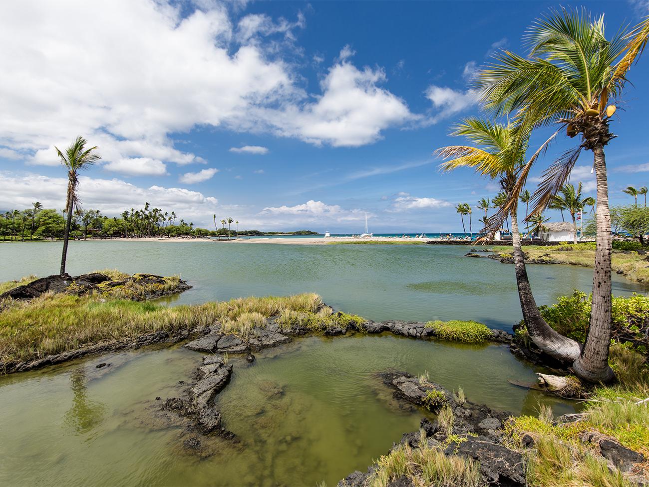 Ancient Fish Ponds